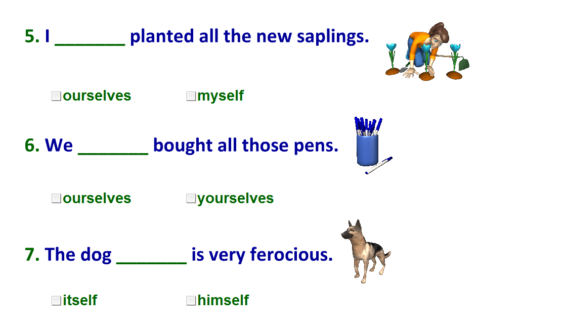 Reflexive and emphatic pronouns exercise